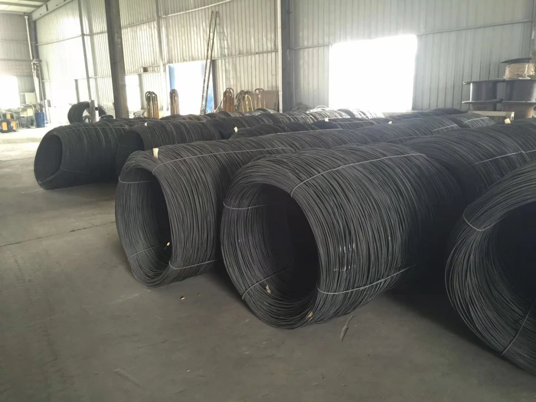 5%off High Carbon Spring Steel Wire, Steel Wire, Stainless Steel Wire